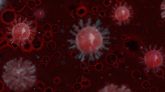 Coronavirus COVID 19 Animation